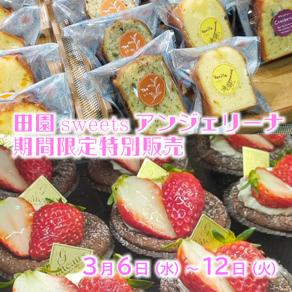 自然派パティシエのこだわりお菓子〈田園sweetsアンジェリーナ〉期間限定販売