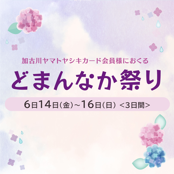 どまんなか祭り