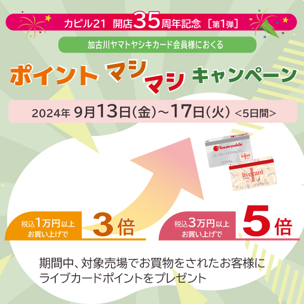 ポイント マシマシ キャンペーンのご案内