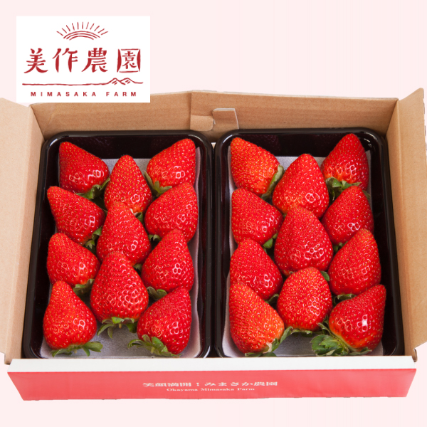 岡山【美作農園】いちごフェア