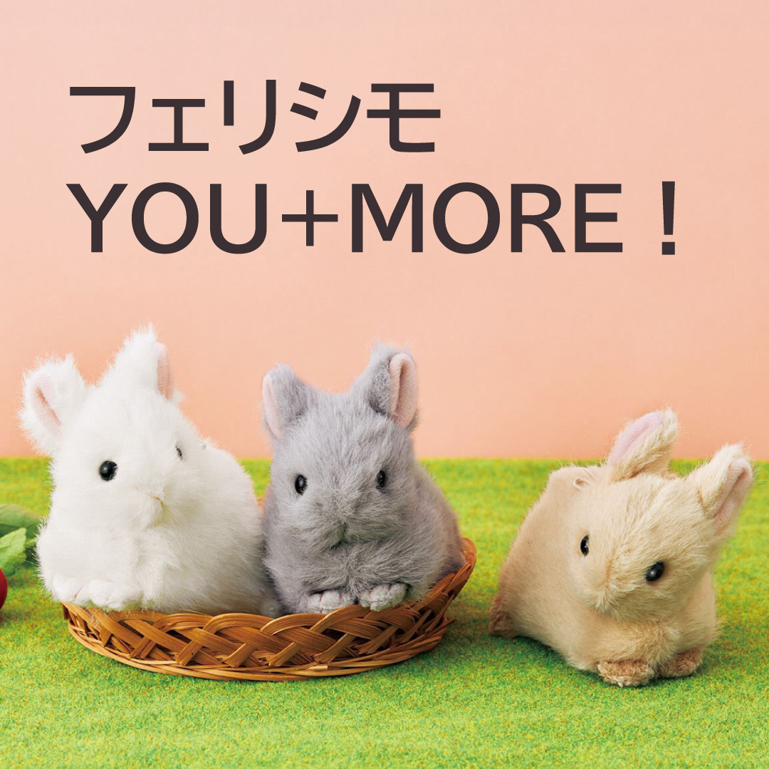 フェリシモ　YOU+MORE！