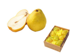 山形県産ラネージュ（2㎏）