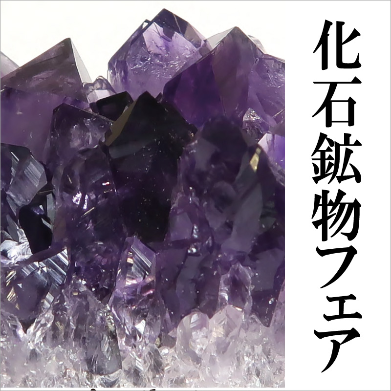 化石鉱物フェア