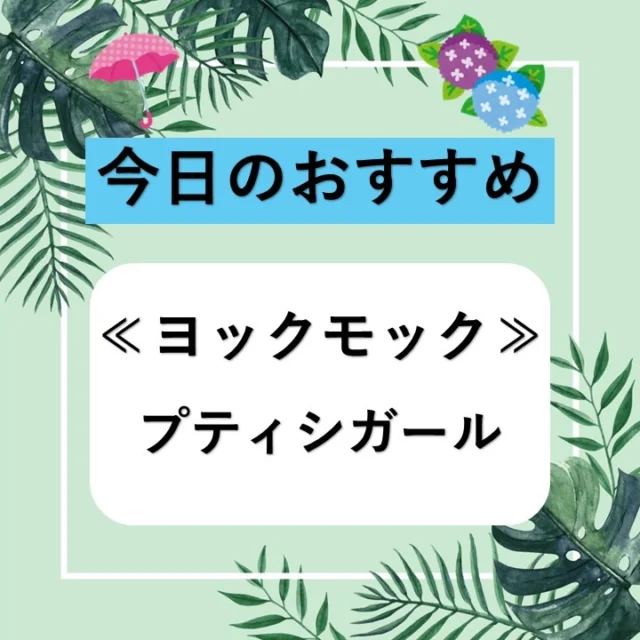 姫路ヤマトヤシキからのお知らせ

【今日のおすすめ】

≪ヨックモック　プティシガール≫
バターをふんだんに使った生地を焼き上げ、
ロール状に巻いています。
おやつの時間や手土産にいかがでしょうか。

皆様のご来店を心よりお待ちしております。
　
『店舗情報』----------------
姫路ヤマトヤシキ
〒670-0927
姫路市駅前町235番地
10：00～18：00 (休憩時間 13：00～14：00)
※定休日　毎週水曜日
----------------------------------
#姫路ヤマトヤシキ	
#ヤマトヤシキ
#加古川ヤマトヤシキ
#姫路みゆき通り
#今日のおすすめ
#ヨックモック
#プティシガール
#ロールクッキー
#手土産
#お中元
#Himeji
#HimejiCity
#HimejiCastle
#HimejiStation
#luggagestorageserviceinHimeji