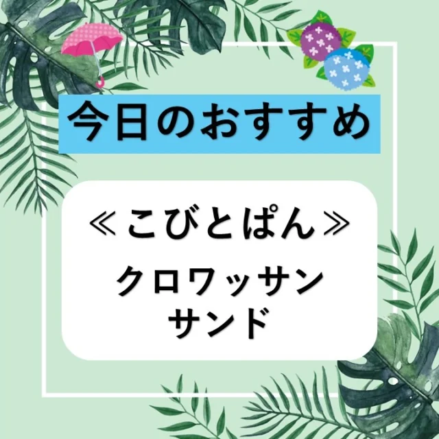 姫路ヤマトヤシキからのお知らせ

【今日のおすすめ】

≪こびとぱん　クロワッサンサンド≫
色とりどりのフルーツと生クリームの相性がとても良く、
食べ応え抜群です。
おやつや軽食にいかがでしょうか。

皆様のご来店を心よりお待ちしております。
　
『店舗情報』----------------
姫路ヤマトヤシキ
〒670-0927
姫路市駅前町235番地
10：00～18：00 (休憩時間 13：00～14：00)
※定休日　毎週水曜日
----------------------------------
#姫路ヤマトヤシキ	
#ヤマトヤシキ
#加古川ヤマトヤシキ
#姫路みゆき通り
#今日のおすすめ
#こびとぱん
#クロワッサンサンド
#クロワッサン
#手土産
#お中元
#Himeji
#HimejiCity
#HimejiCastle
#HimejiStation
#luggagestorageserviceinHimeji